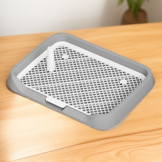 이미지 상세보기