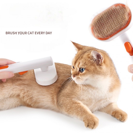 이미지 상세보기